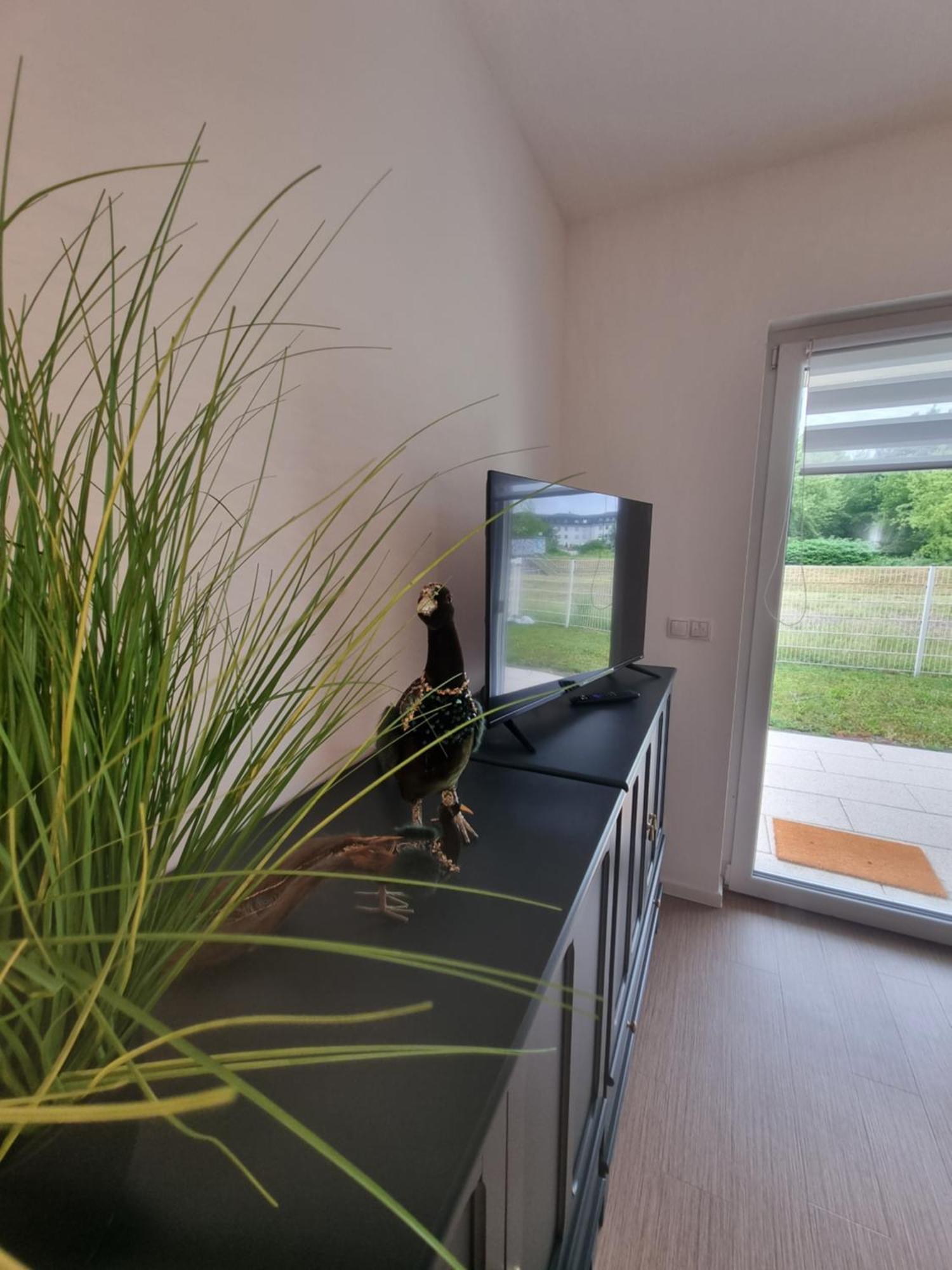Ferienwohnung Im Palais Am See Am Goitzschesee Bitterfeld-Wolfen Camera foto